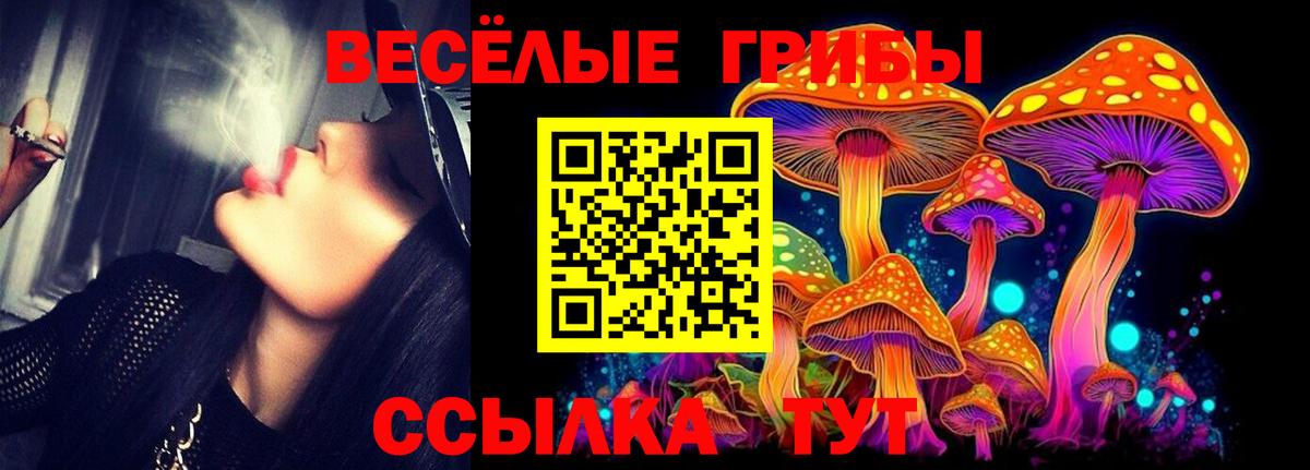 Псилоцибиновые грибы Magic Shrooms Избербаш